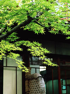 おうちの印象はまずお庭から...