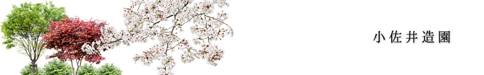 小佐井造園