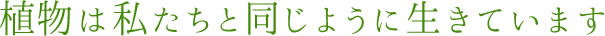 植物は私たちと同じように生きています