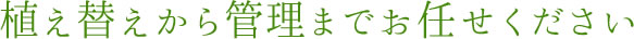おうちの印象はまずお庭から...